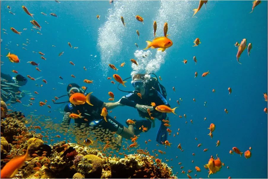Красное море 2.jpg Красное море 2.jpg