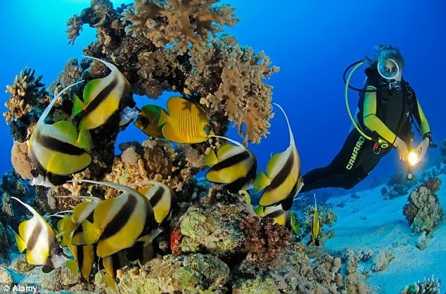 Красное море.jpg Красное море.jpg